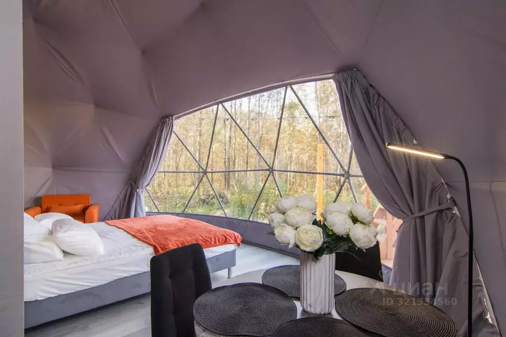 Дом в Ярославская область, Некрасовское с/пос, Малые Соли Парк кп  (38 ... - Фото 2