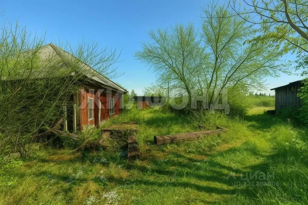 Участок в Новосибирская область, Искитимский район, д. Бурмистрово ... - Фото 1