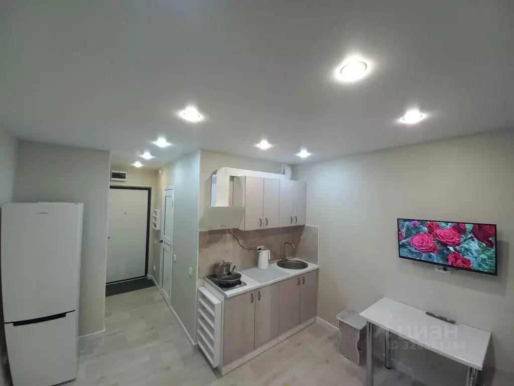 Студия Тюменская область, Тюменский муниципальный округ, д. Патрушева ... - Фото 1