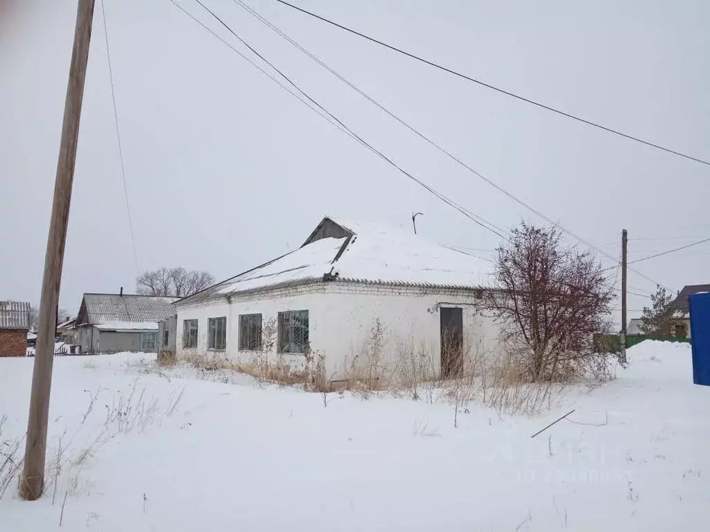 Село чистово. Село Куломзино Омская область.