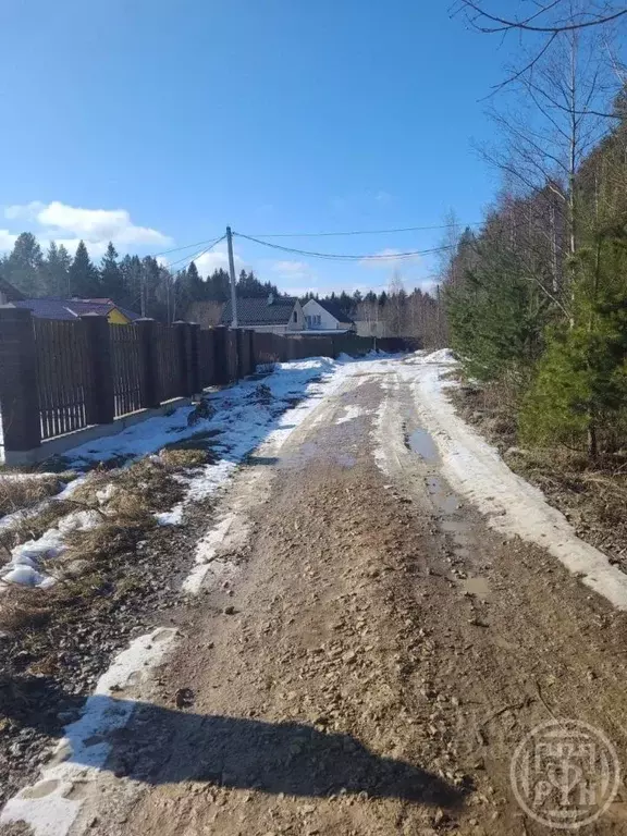 Участок в Ленинградская область, Ломоносовский район, Лебяженское ... - Фото 1