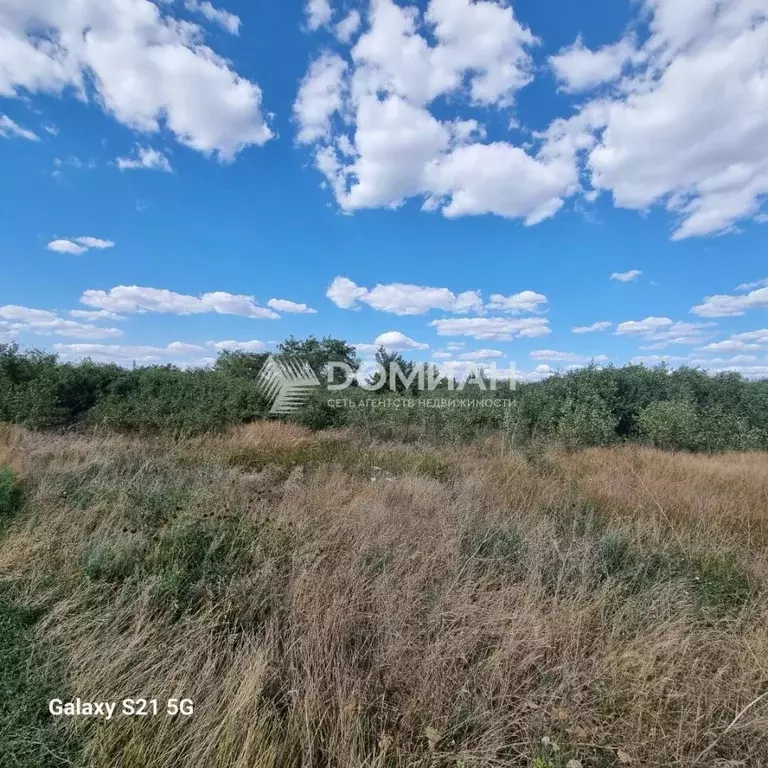 Участок в Ростовская область, Октябрьский район, Кривянское с/пос, ... - Фото 1