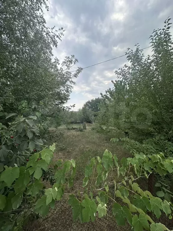 Участок 6 сот. (ИЖС) - Фото 0