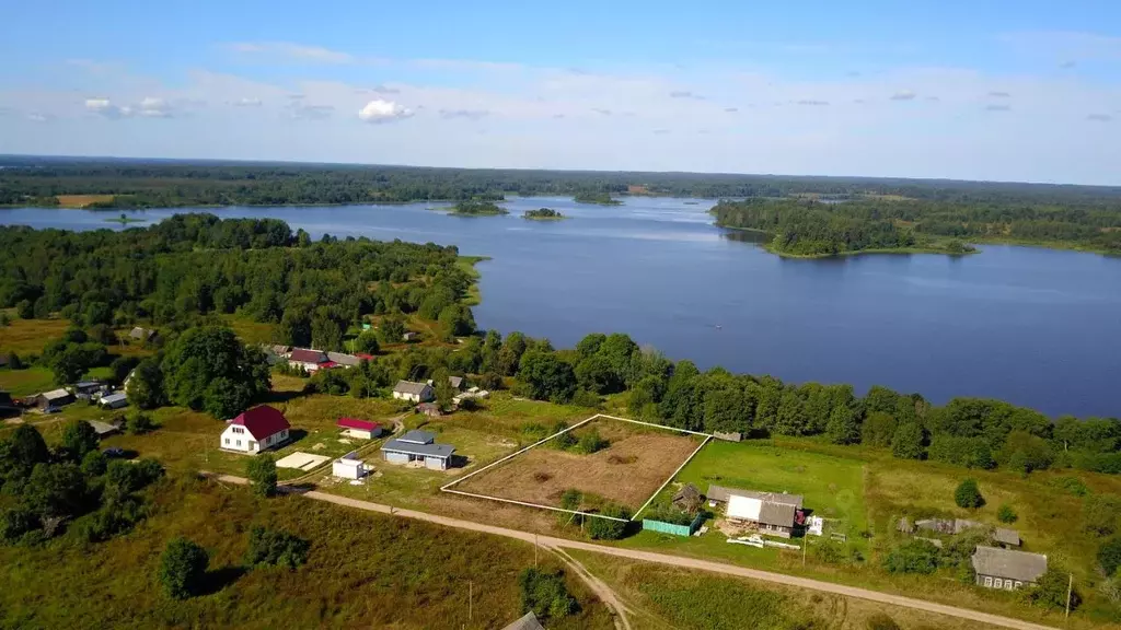 Участок в Псковская область, Куньинский район, Жижицкая волость, д. ... - Фото 0