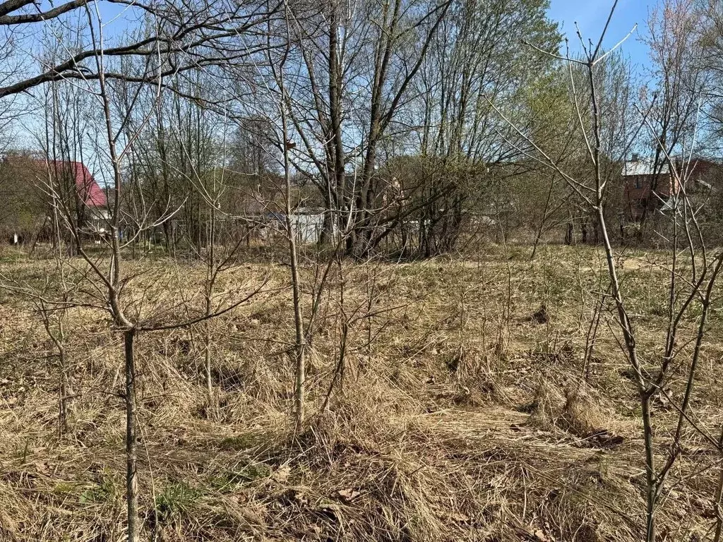 Участок в Московская область, Богородский городской округ, д. ... - Фото 2