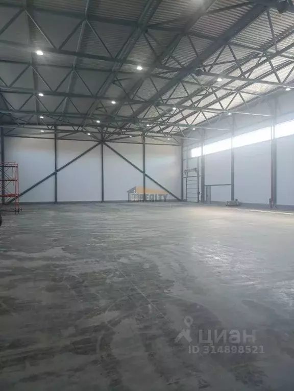 Склад в Московская область, Домодедово городской округ, д. Купчинино ... - Фото 2