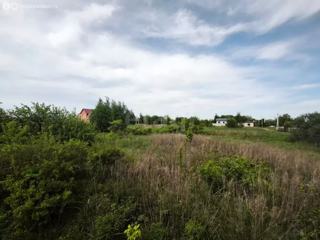 Участок в деревня Добрунь, садоводческое некоммерческое товарищество ... - Фото 2