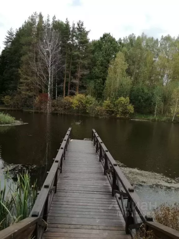 Участок в Нижегородская область, Нижний Новгород д. Майдан,  (15.0 ... - Фото 1