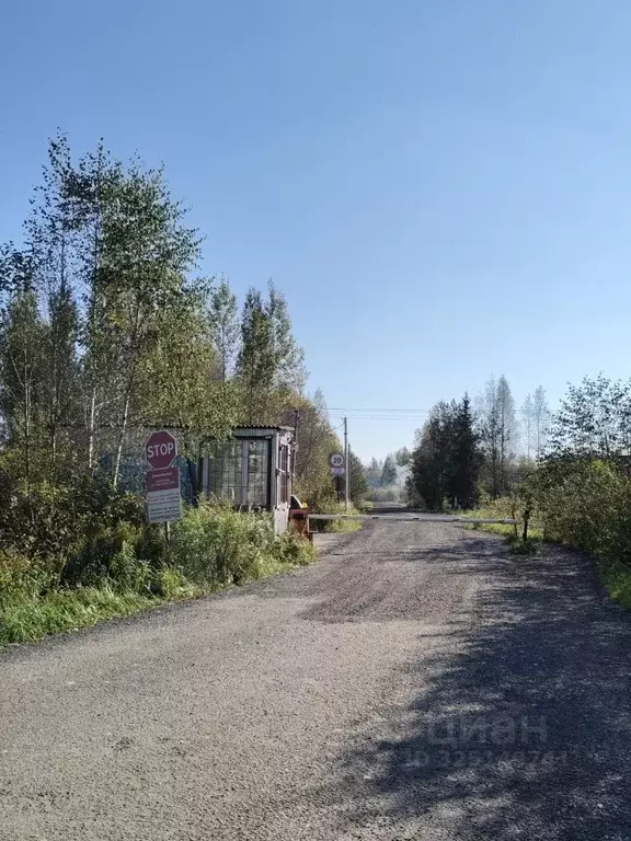 Дом в Ленинградская область, Кировский район, Мгинское городское ... - Фото 2