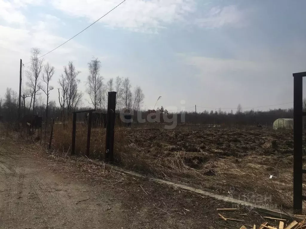 Участок в Еврейская автономная область, Смидовичский район, Минерал ... - Фото 2