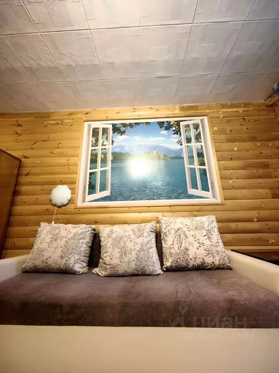 Студия Новосибирская область, Новосибирск Воскресная ул., 33 (23.8 м) - Фото 2