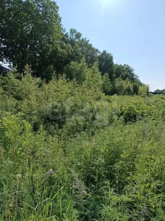 Участок в Амурская область, Благовещенск Игнатьевское ш. (11.0 сот.) - Фото 0
