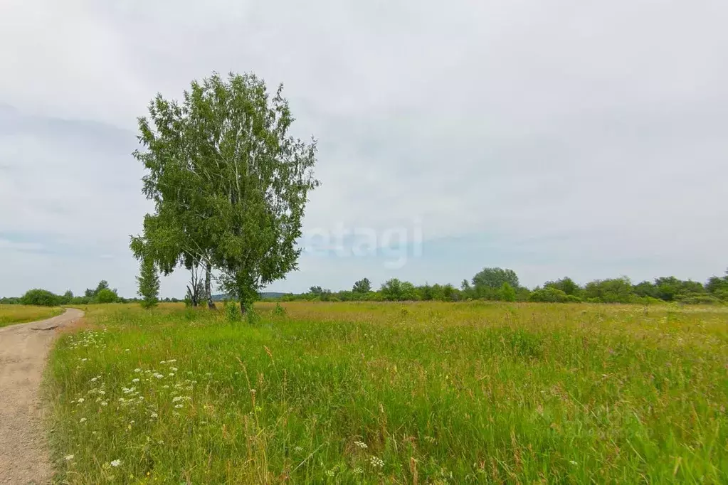 Участок в Томская область, Томский район, д. Барабинка  (58.9 сот.) - Фото 1