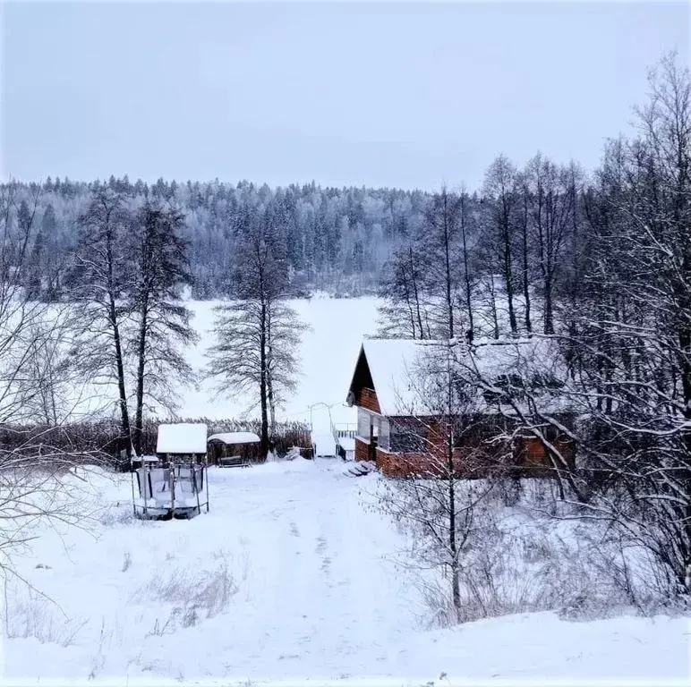 Дом в Ленинградская область, Выборгский район, Каменногорское ... - Фото 1