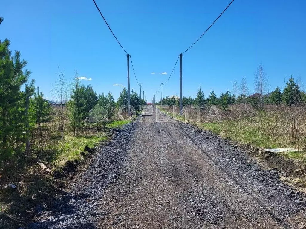 Участок в Тюменская область, Тюменский район, д. Елань, Хвойный кп  ... - Фото 1