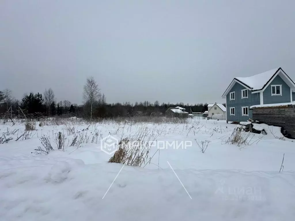 Участок в Ленинградская область, Тосненский район, Форносовское ... - Фото 2