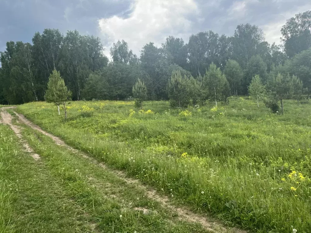 Участок в Челябинская область, Кусинский муниципальный округ, д. ... - Фото 1