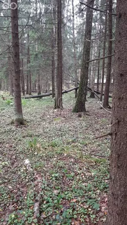 Участок в Наро-Фоминский городской округ (5 м) - Фото 1