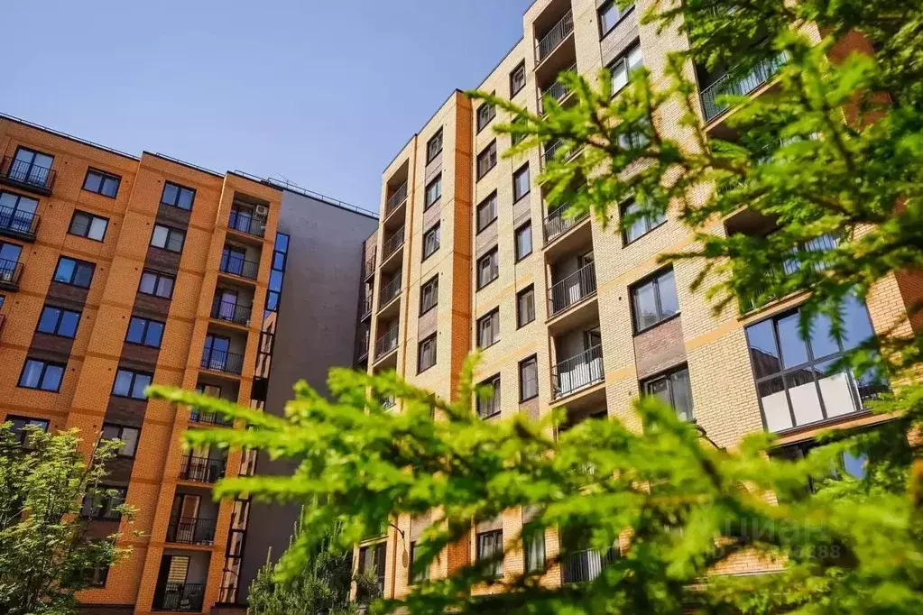 2-к кв. Новосибирская область, Новосибирск ул. Василия Клевцова, 3 ... - Фото 2