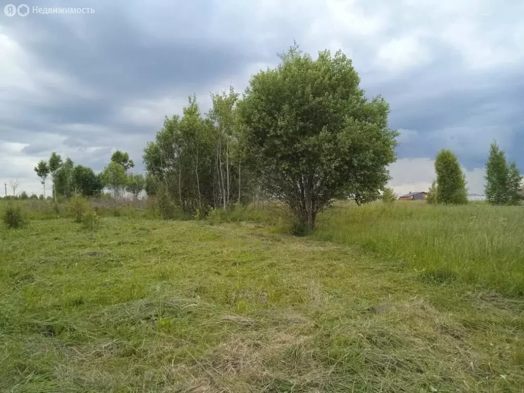 Участок в Нерехта, Егорьевская улица, 14 (8.8 м) - Фото 0