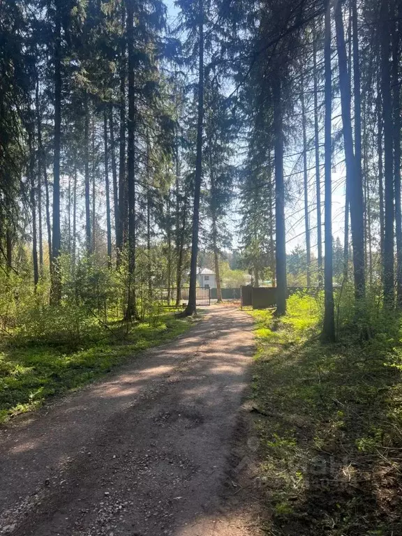 Участок в Московская область, Одинцовский городской округ, 30 лет ... - Фото 0