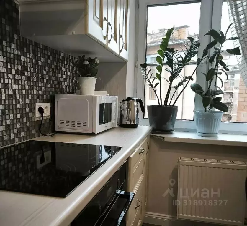 2-к кв. Московская область, Химки Клязьма кв-л, ул. Летчика Ивана ... - Фото 2