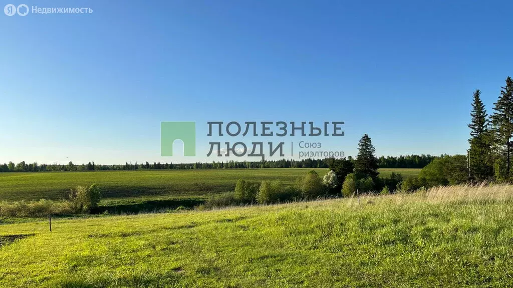 Участок в Малопургинский район, деревня Чурашур (15 м) - Фото 2