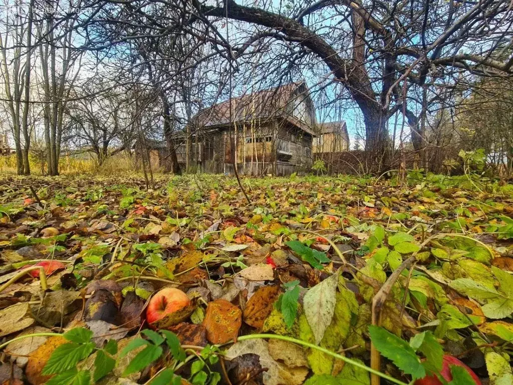 Участок в Санкт-Петербург, садоводство Знамя Октября (7.6 м) - Фото 0