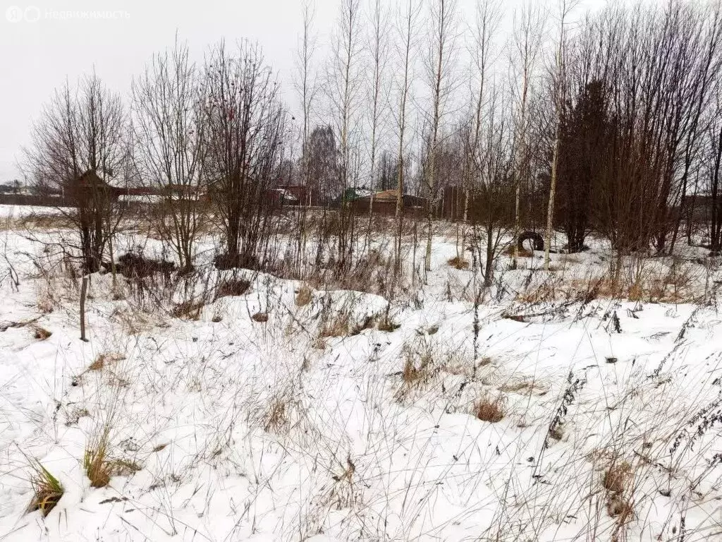 Участок в Вологодская область, Великоустюгский муниципальный округ, ... - Фото 2