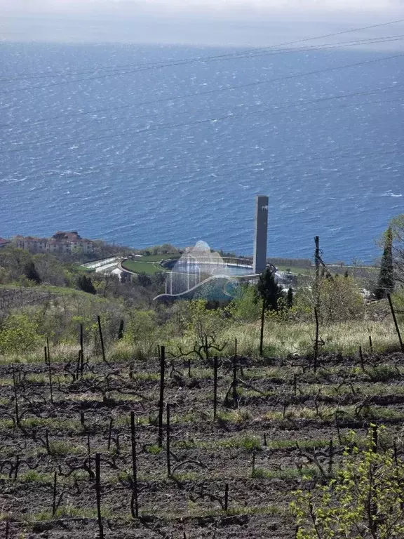 Участок в Крым, Ялта муниципальный округ, с. Оползневое  (6.0 сот.) - Фото 1