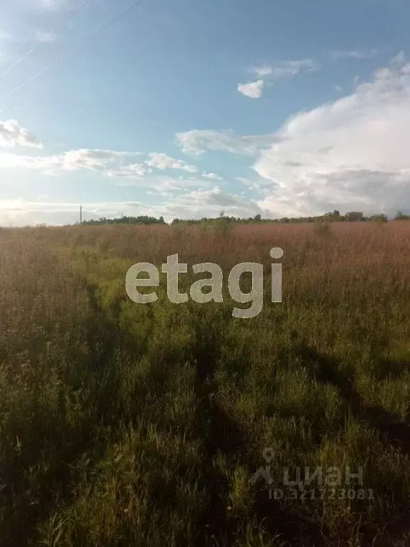Участок в Амурская область, Благовещенский район, с. Волково ул. ... - Фото 1