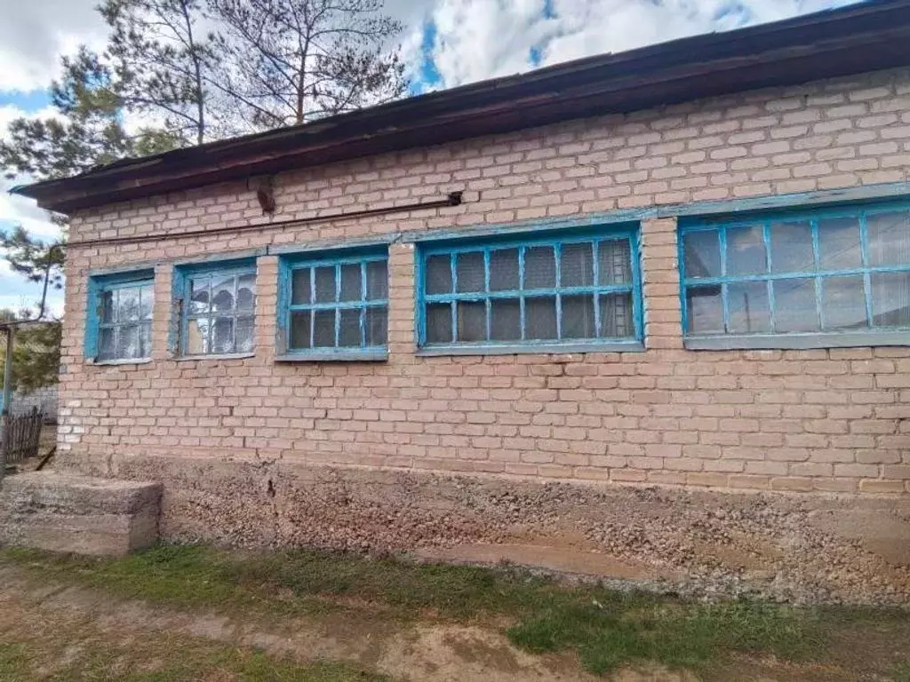 Дом в Оренбургская область, Оренбург с. Краснохолм, ул. Ленина, 8 (50 ... - Фото 1