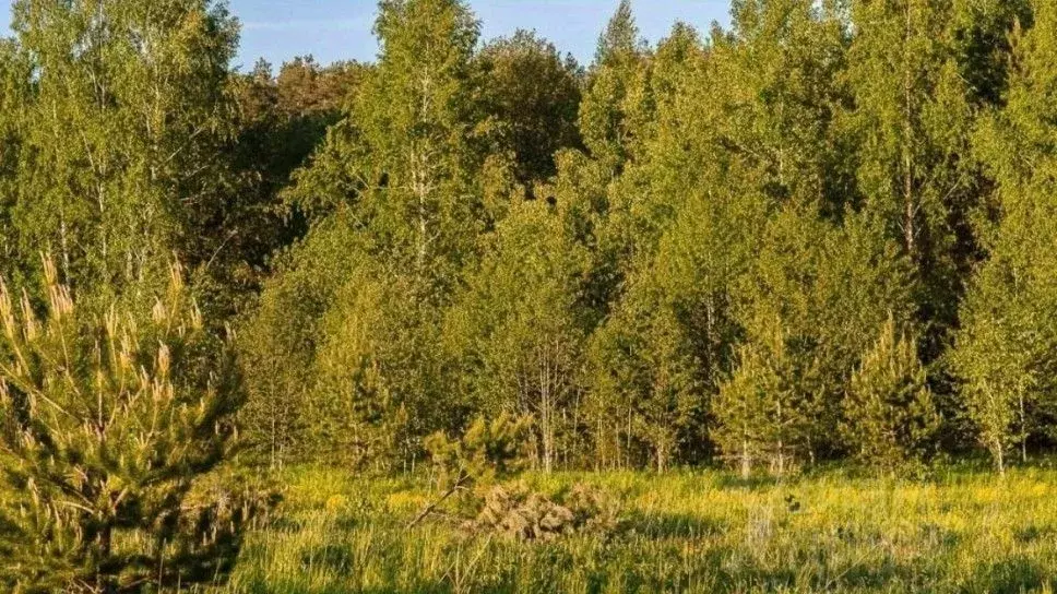 Участок в Московская область, Красногорск городской округ, д. ... - Фото 1