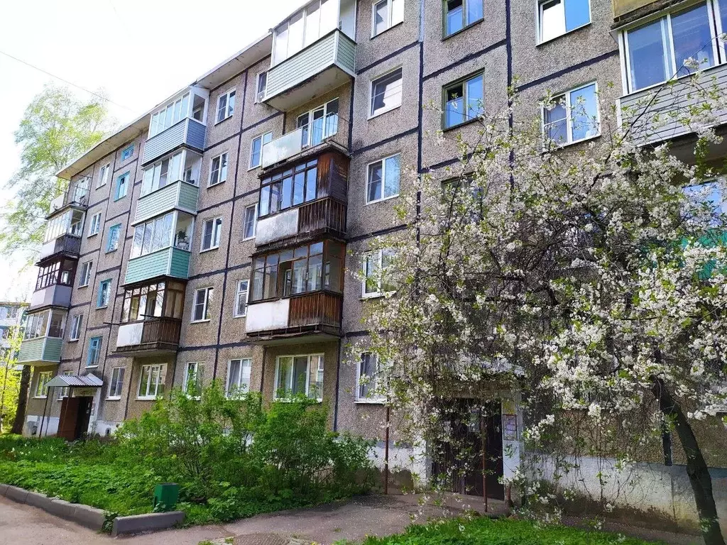 1-к кв. Владимирская область, Владимир просп. Строителей, 42А (31.3 м) - Фото 1