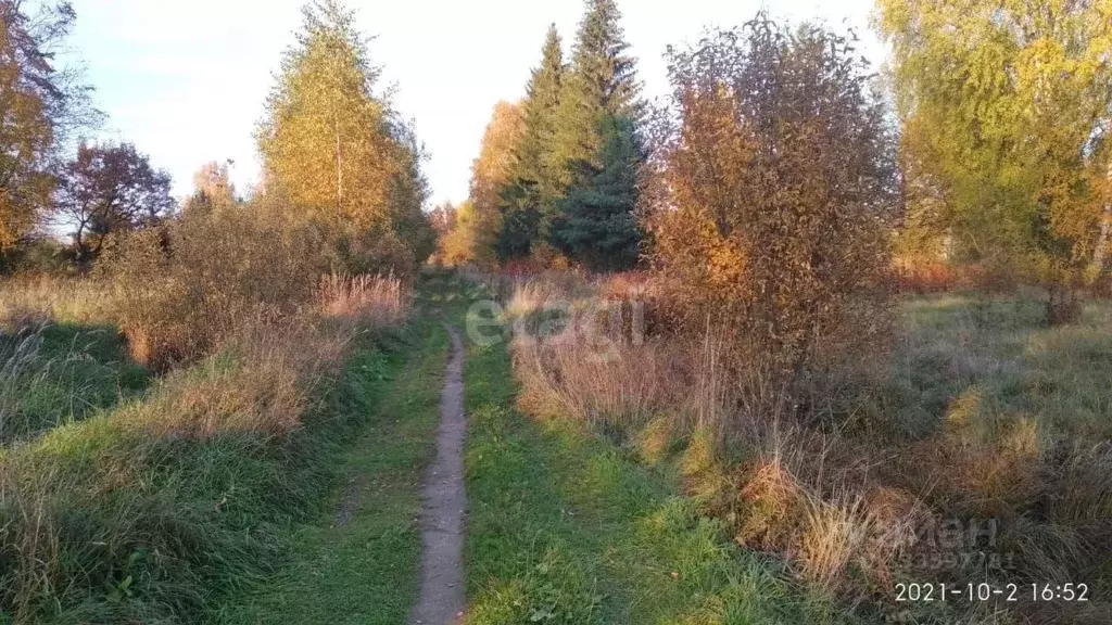 Дом в Тверская область, Вышневолоцкий муниципальный округ, пос. ... - Фото 1