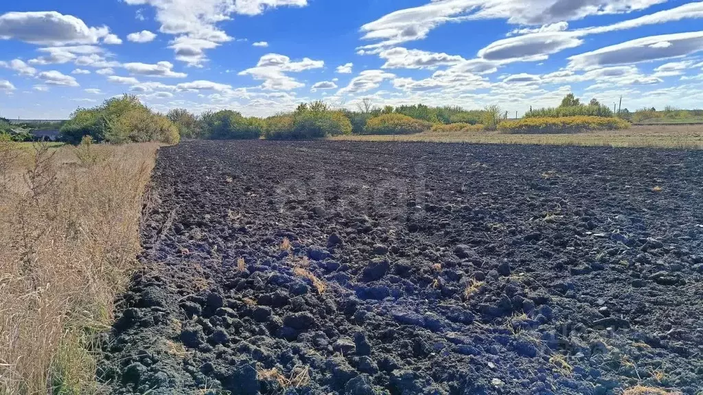Участок в Белгородская область, Красногвардейский район, ... - Фото 0