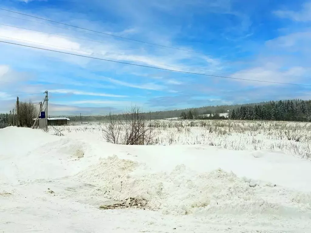 Участок в Московская область, Дмитровский муниципальный округ, ... - Фото 1