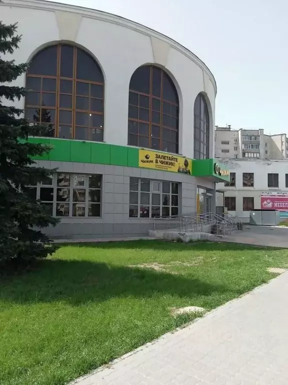 Помещение свободного назначения в Волгоградская область, Камышин ул. ... - Фото 1