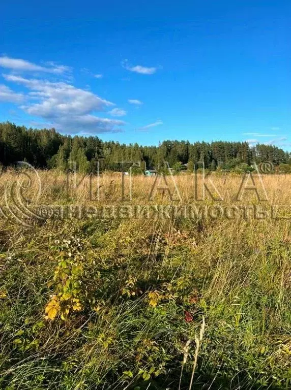 Участок в Ленинградская область, Выборгский район, пос. Селезнево  ... - Фото 2