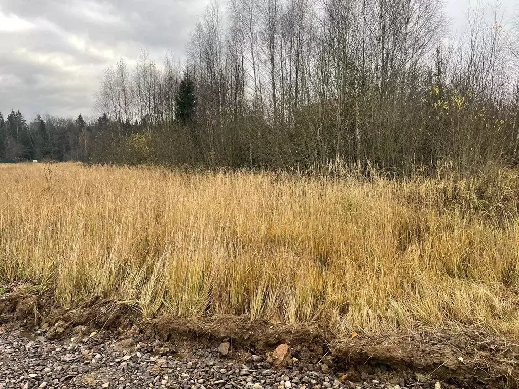 Участок в Москва № 182 кв-л, 92 (9.0 сот.) - Фото 1