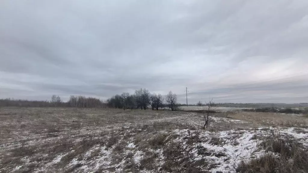 Участок в Саратовская область, Красный Октябрь рп  (790.0 сот.) - Фото 2