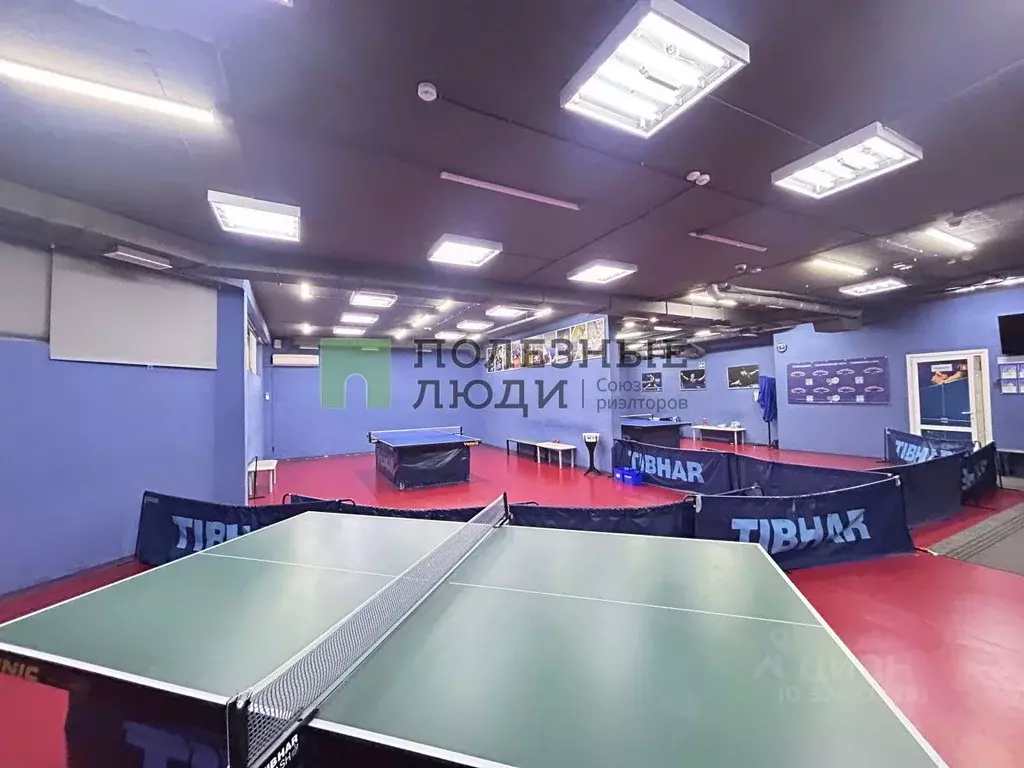 Помещение свободного назначения в Краснодарский край, Геленджик ... - Фото 1