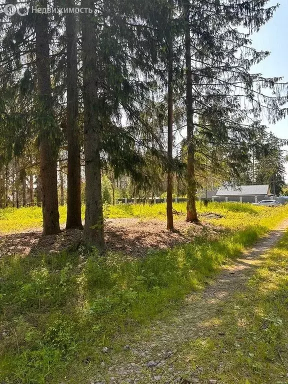 Дом в Выборгский район, Рощинское городское поселение, посёлок Лебяжье ... - Фото 1