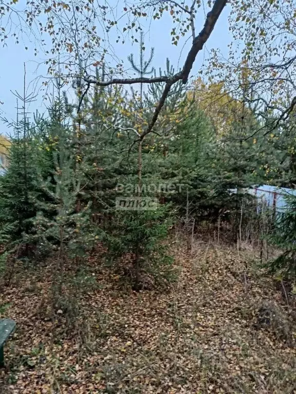 Участок в Тульская область, Ясногорский район, Иваньковское ... - Фото 1