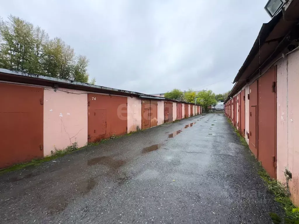 Гараж в Тюменская область, Тюмень Севастопольская ул., 2с9 (19 м) - Фото 1