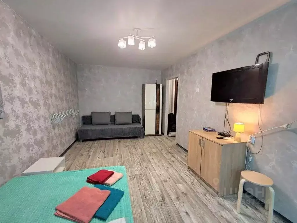 1-к кв. Хабаровский край, Хабаровск Молдавский пер., 9 (30.0 м) - Фото 2