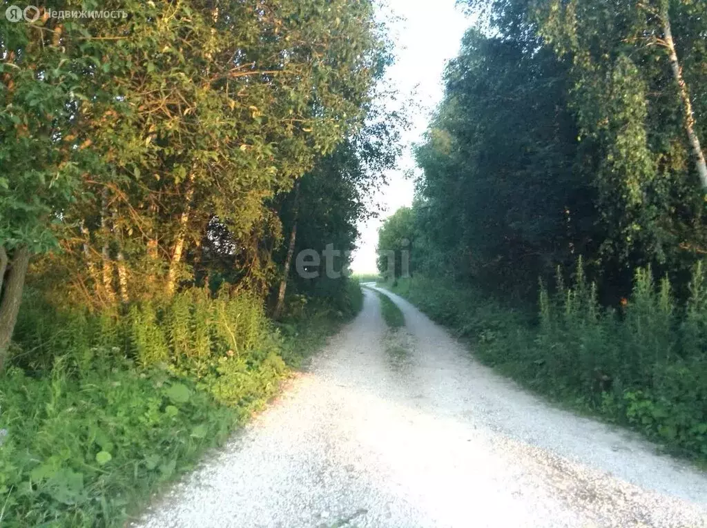 Участок в Московская область, городской округ Серпухов, деревня ... - Фото 1