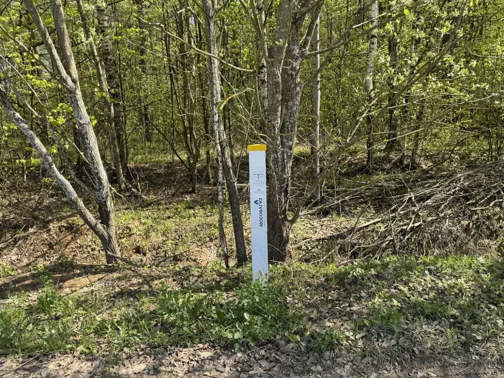 Участок в Московская область, Чехов муниципальный округ, д. Сенино  ... - Фото 2