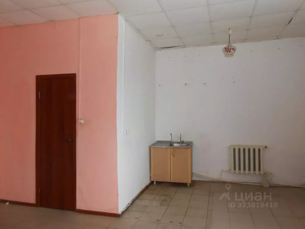 Помещение свободного назначения в Челябинская область, с. Еткуль ул. ... - Фото 2