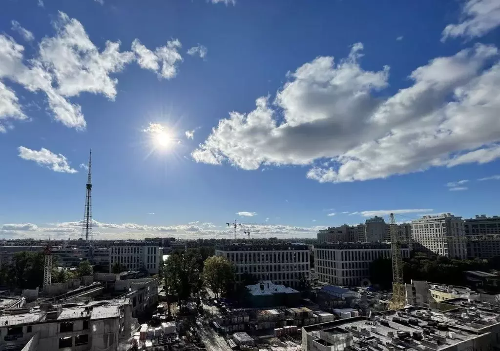 3-к кв. Санкт-Петербург наб. Черной речки, 9 (100.0 м) - Фото 1